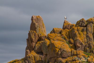Corbiere Lighthouse, Jersey