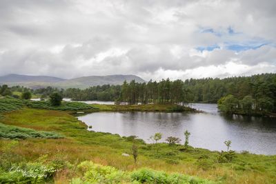Tarn Hows, Lake District