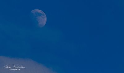 The Moon