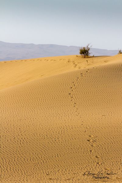 Meloneras, Grande Canaria