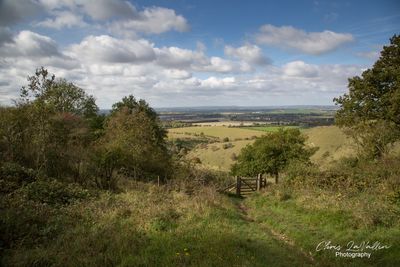 Ashridge Estate