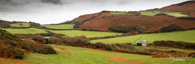 Devon