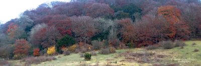 Pulpit Hill