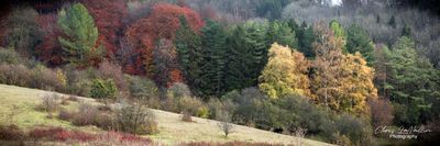 Pulpit Hill