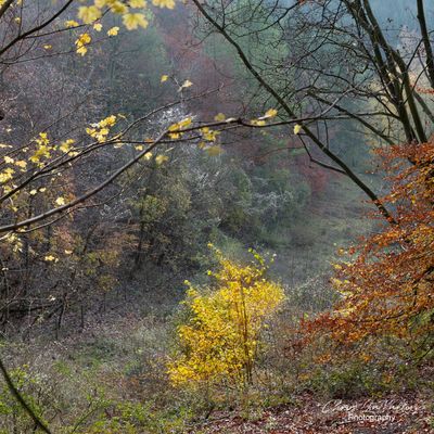 Pulpit Hill