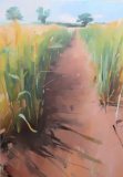 A Devon Barley Field, oil on canvas 122 x 76cm