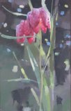 Snakeshead Fritillaries, oil on canvas 25 x 16cm. Unavailable.