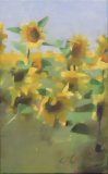 Spanish Field, oil on canvas 25 x 16cm
