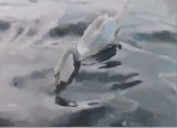 Swan on the Teign, oil on canvas 65 x 90cm. Unavailable.