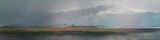 bazil point large