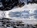 Glacier in Antarctica