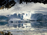 Glacier in Antarctica 1