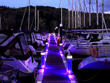 Night Lights in the Marina #2