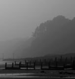 Misty Amroath