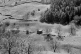 DSC 7770bw