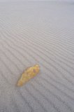 DSC0039