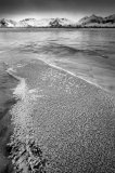 DSC0564bw