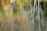 Reflections on New England