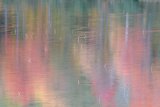 Fall Reflection