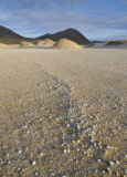 Shell Beach