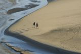 Three Cliffs Dog Walkers