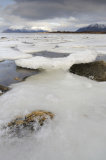Frozen Sea Ice