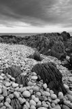 Peeble Beach