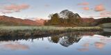River Bathay and Trees 3