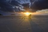 Rhossilli Shipwreck and Sun