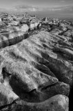 DSC9035bw