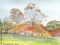 Autumn Colours, Bodnant Garden