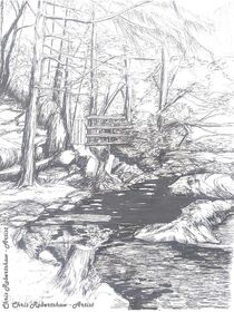 Gwydyr Forest near Betws-y-Coed