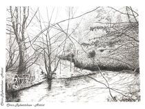 Bollin Valley