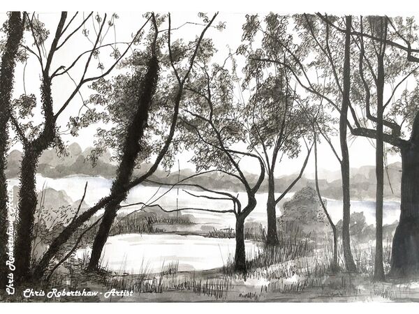A small pond by Browns Lane, Wilmslow