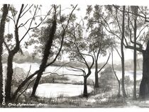 A small pond by Browns Lane, Wilmslow