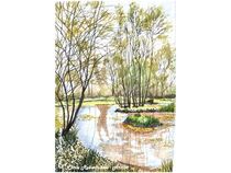 Early Spring