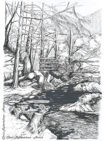 Gwydyr Forest, near Betws-y-Coed