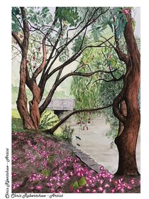 Rhodendrons by the Bollin