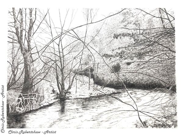 Styal Woods
