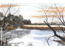 The River Aire at Kirkstall