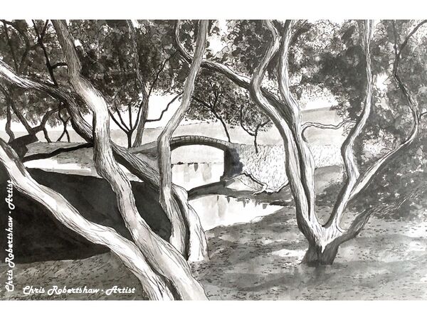 Through the woods, darkly