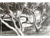 Through the woods, darkly