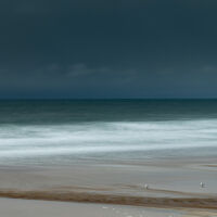 Gulls and the sea