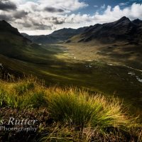 Grass and Heather above Glen Sligachan