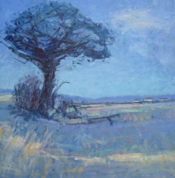 Umbrella Tree - Fading Light