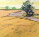Harvest Fields. Acrylic 50x50cms