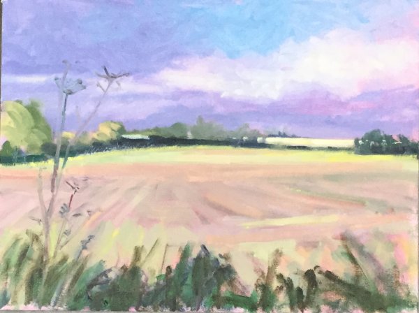 Afternoon Light over the Field