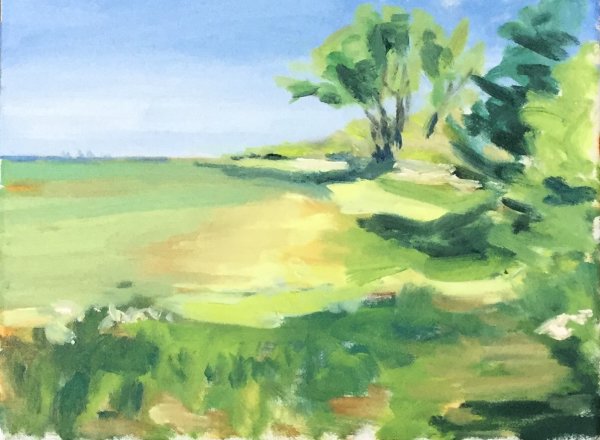 Sunny Track