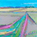 Skylark Fields