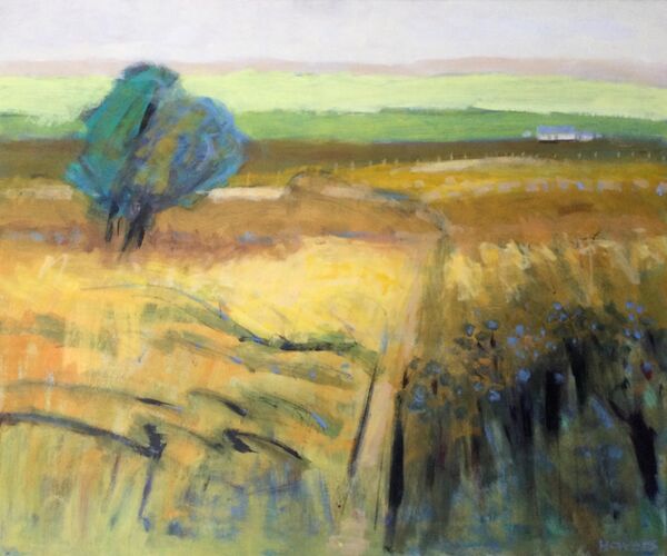 Yellow greens blues field Irish landscape Kerry tree cottage wild place